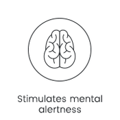 Stimulates mental alertness